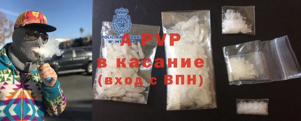 ГАЛЛЮЦИНОГЕННЫЕ ГРИБЫ Бородино