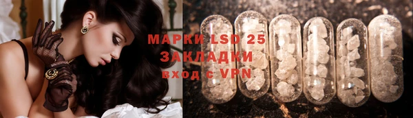 ГАЛЛЮЦИНОГЕННЫЕ ГРИБЫ Бородино