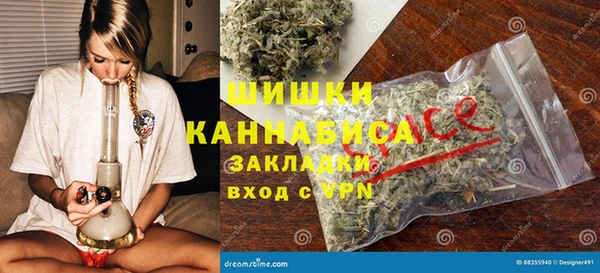 ГАЛЛЮЦИНОГЕННЫЕ ГРИБЫ Бородино