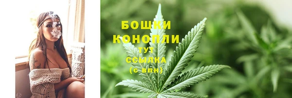 ГАЛЛЮЦИНОГЕННЫЕ ГРИБЫ Бородино