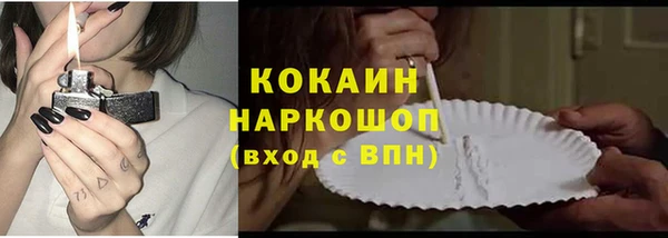 ГАЛЛЮЦИНОГЕННЫЕ ГРИБЫ Бородино