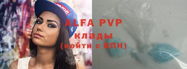 ГАЛЛЮЦИНОГЕННЫЕ ГРИБЫ Бородино