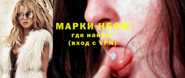 ГАЛЛЮЦИНОГЕННЫЕ ГРИБЫ Бородино